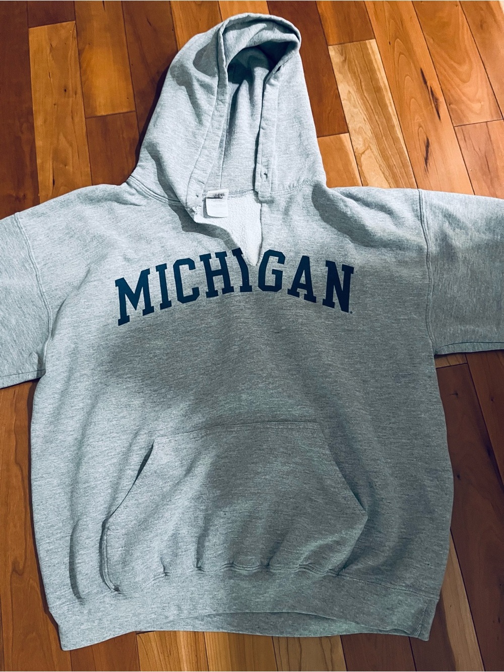 Michigan Hooded Sweatshirt - Gray with Navy Lettering